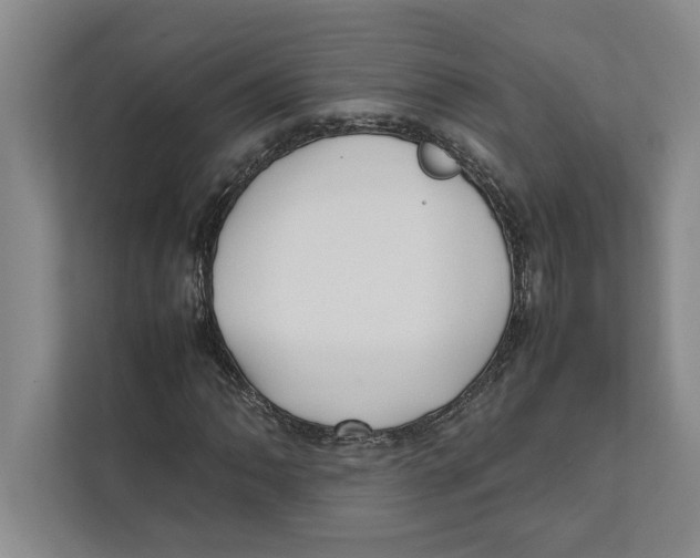 X0000111841062200908201212