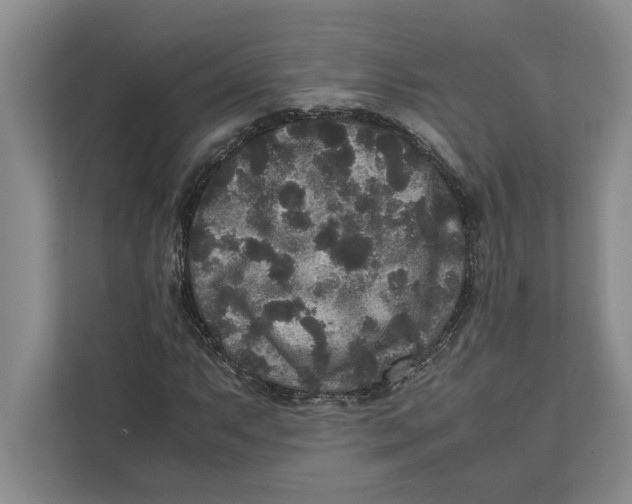 X0000111841063200908201212