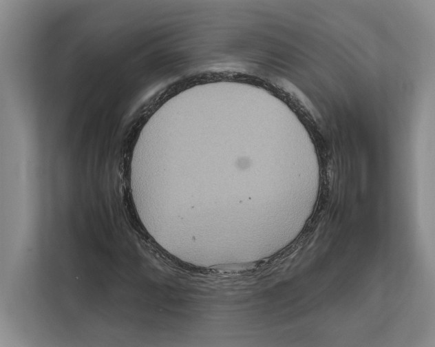 X0000111841064200908201212