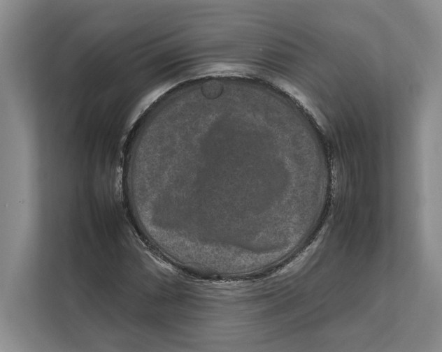 X0000111841066200908201212