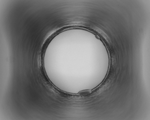 X0000111841069200908201212