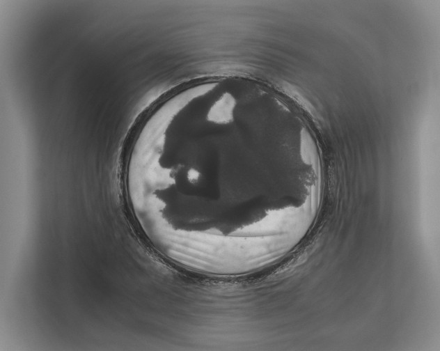 X0000111841071200908201212