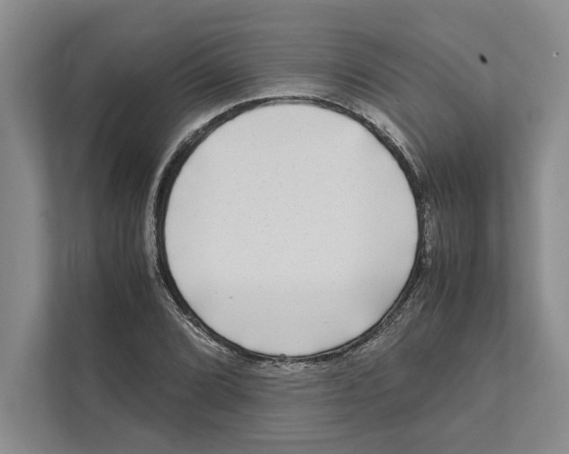 X0000111841072200908201212