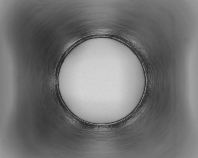 X0000111841073200908201212