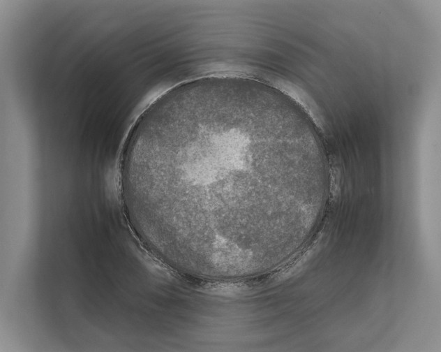 X0000111841074200908201212