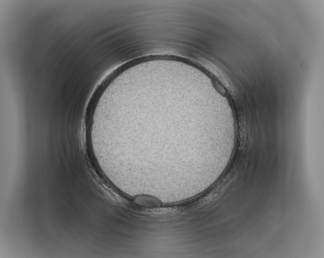 X0000111841076200908201212