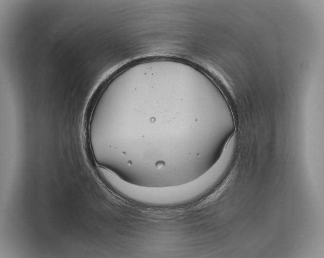 X0000111841077200908201212