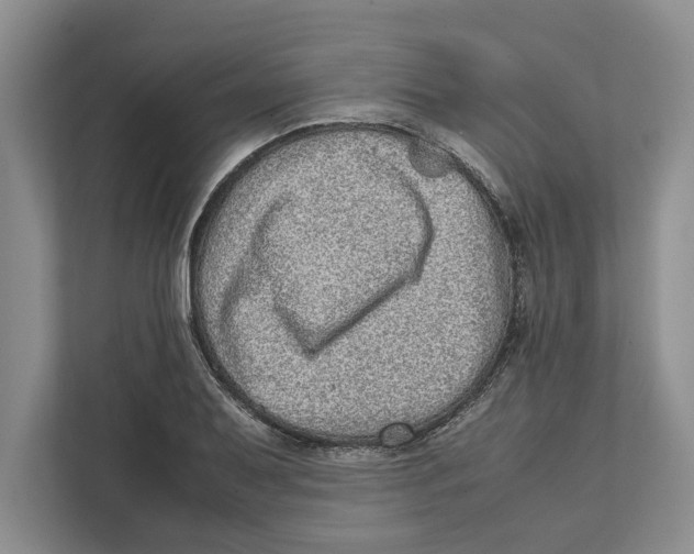 X0000111841079200908201212