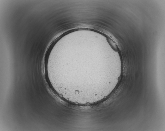 X0000111841080200908201212