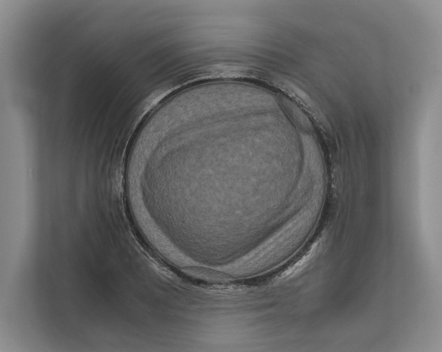 X0000111841081200908201212