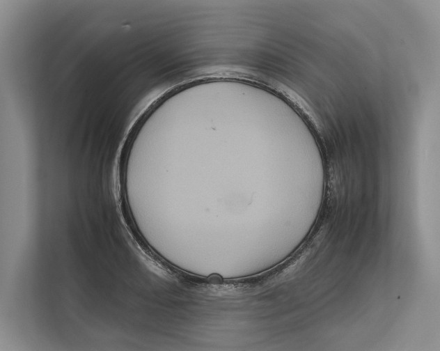 X0000111841082200908201212