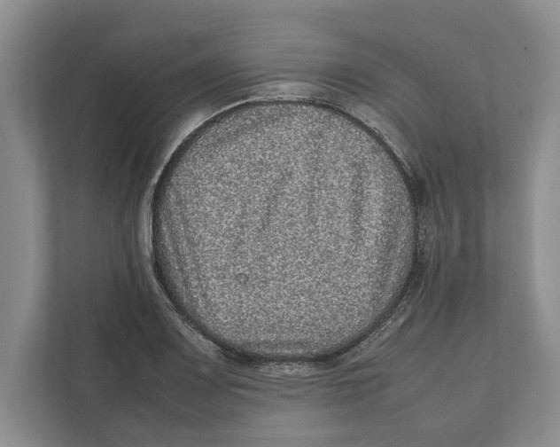 X0000111841083200908201212