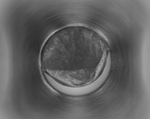 X0000111841084200908201212