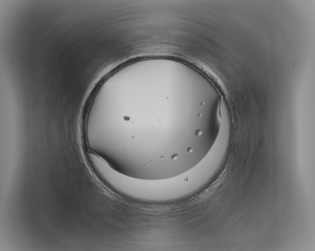 X0000111841085200908201212