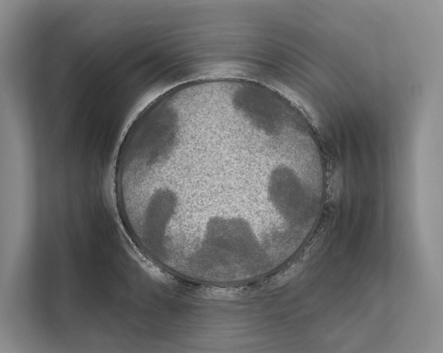 X0000111841086200908201212