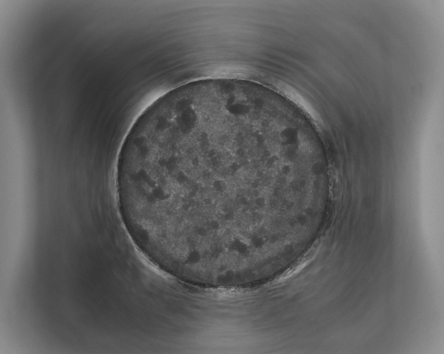 X0000111841087200908201212