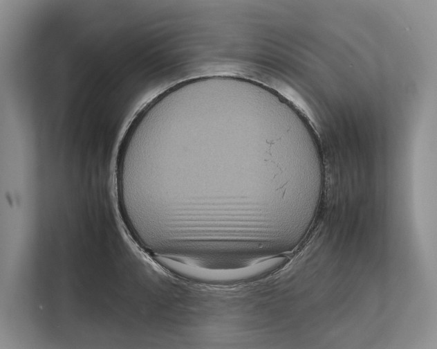 X0000111841088200908201212