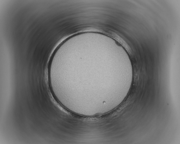 X0000111841092200908201212