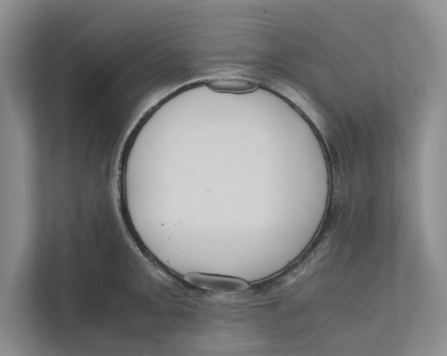 X0000111841093200908201212