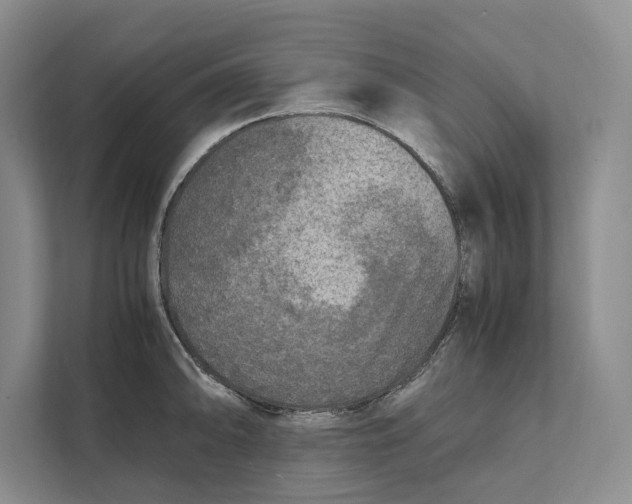 X0000111841094200908201212