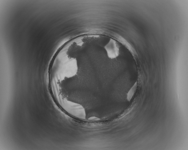 X0000111841095200908201212