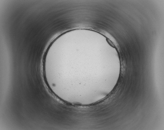 X0000111841096200908201212