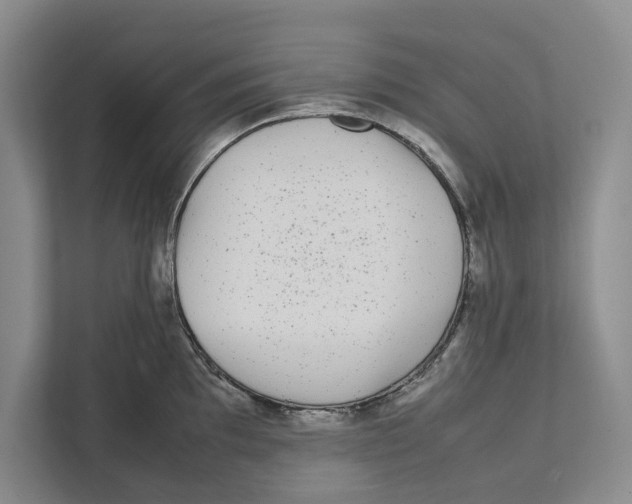 X0000111841097200908201212