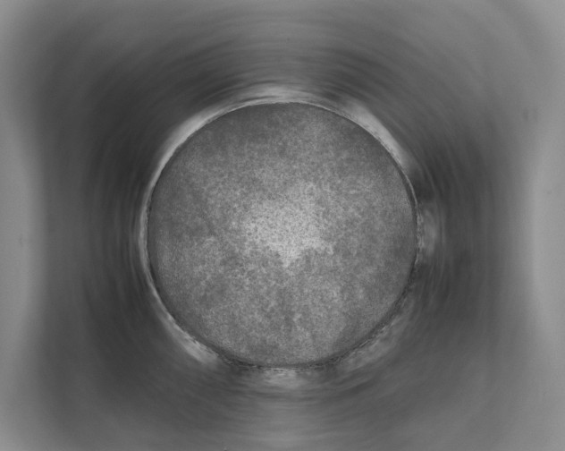 X0000111841098200908201212