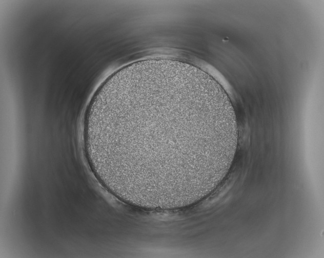 X0000111841099200908201212