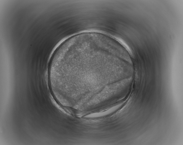 X0000111841100200908201212