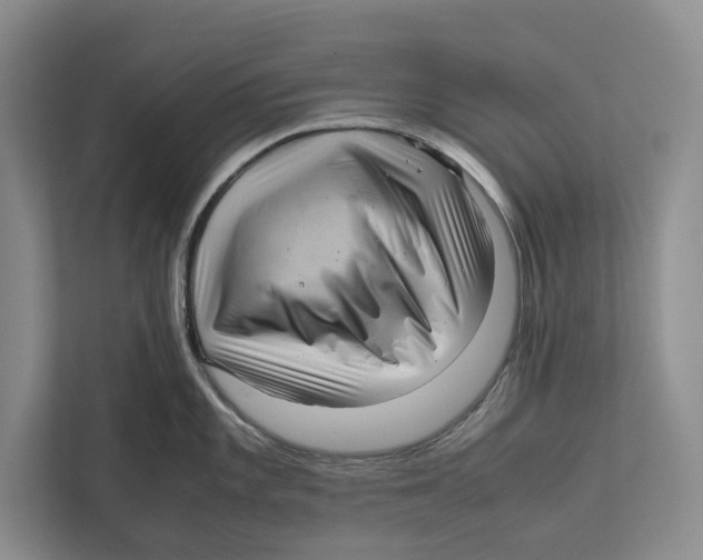 X0000111841101200908201212