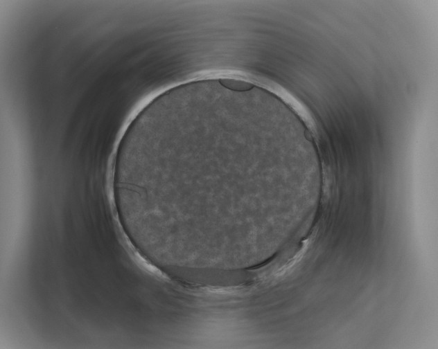 X0000111841102200908201212