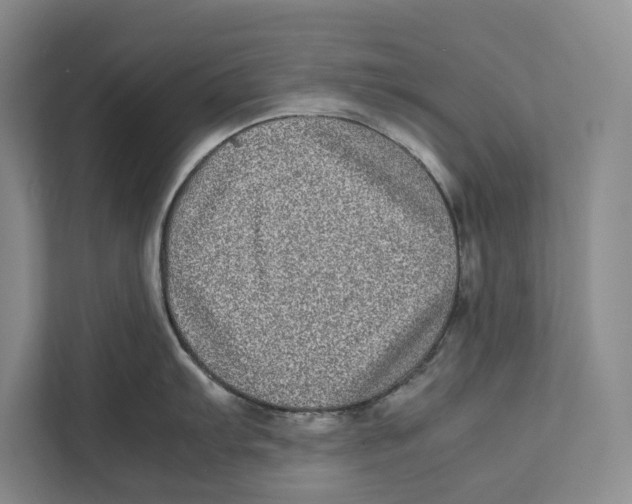 X0000111841103200908201212