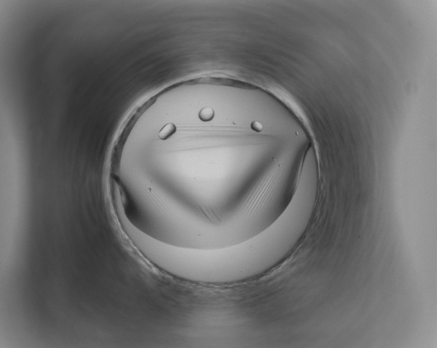 X0000111841104200908201212