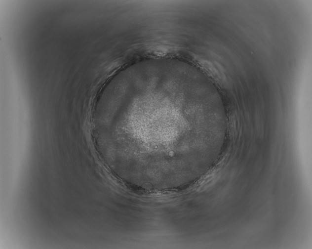 X0000111841105200908201211