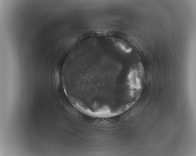 X0000111841106200908201211