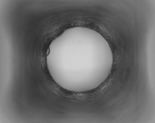 X0000111841109200908201211