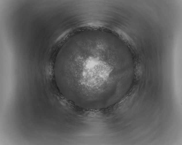 X0000111841110200908201211