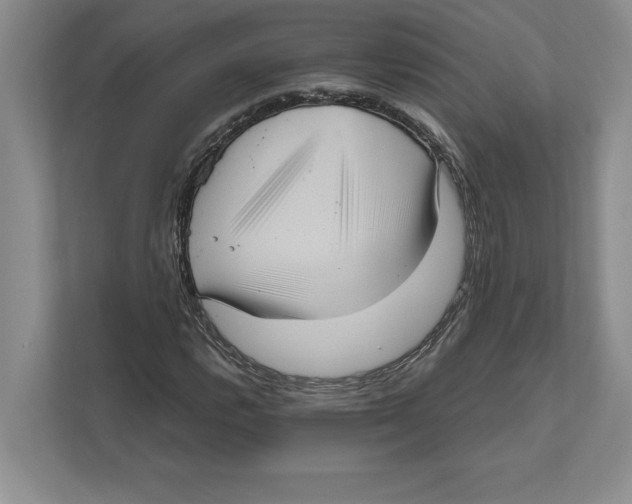 X0000111841112200908201211