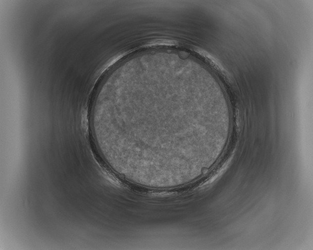 X0000111841113200908201211