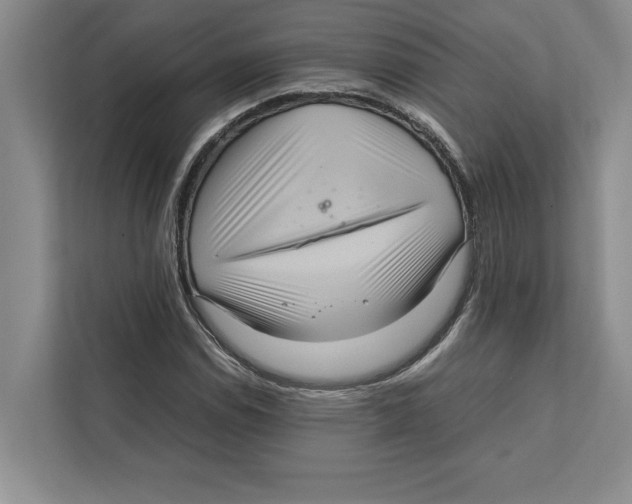 X0000111841114200908201211