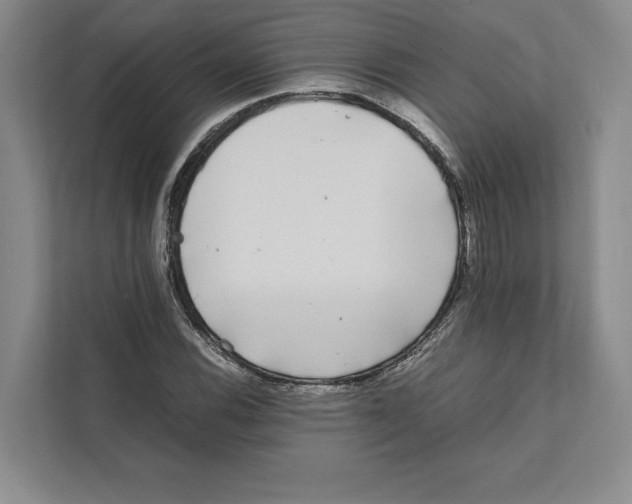 X0000111841116200908201211