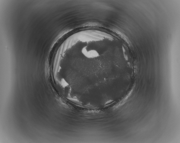 X0000111841117200908201211