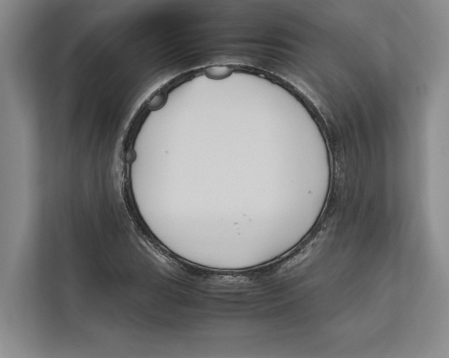 X0000111841119200908201211