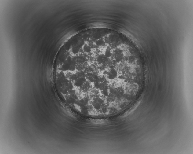 X0000111841121200908201211