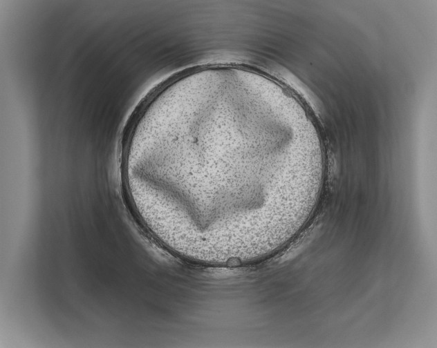 X0000111841124200908201211