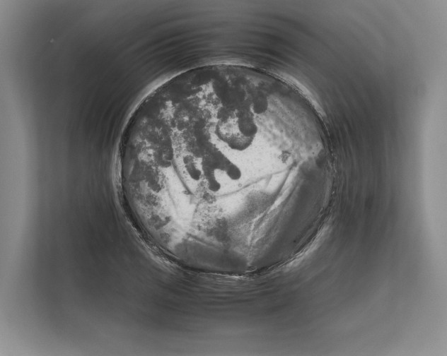 X0000111841125200908201211