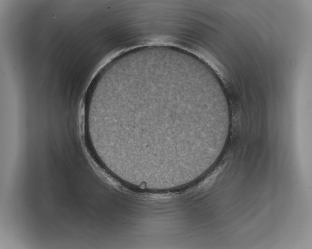 X0000111841126200908201211