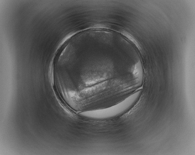 X0000111841127200908201211