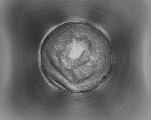 X0000111841128200908201211